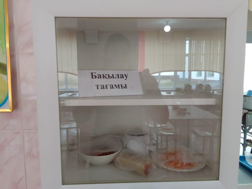 Тамақтану сапасына мониторинг жүргізу актісі